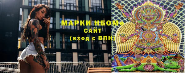 сатива Орск