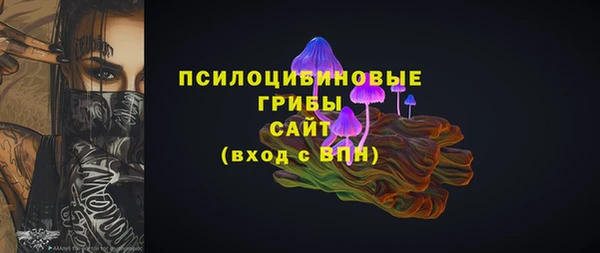скорость Ладушкин