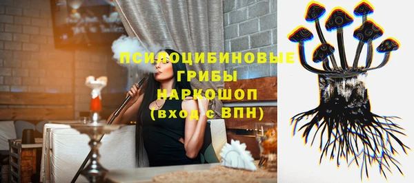 мяу мяу мука Великий Новгород