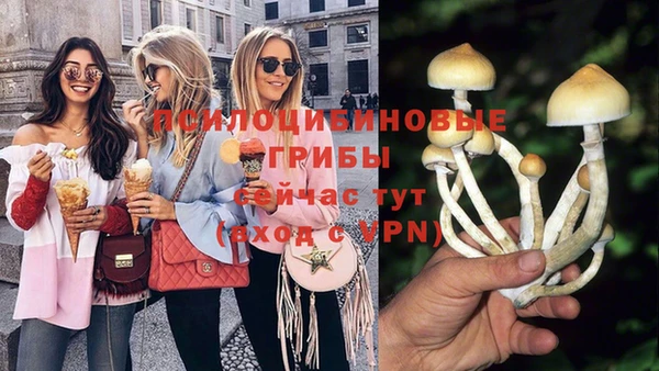 скорость Ладушкин