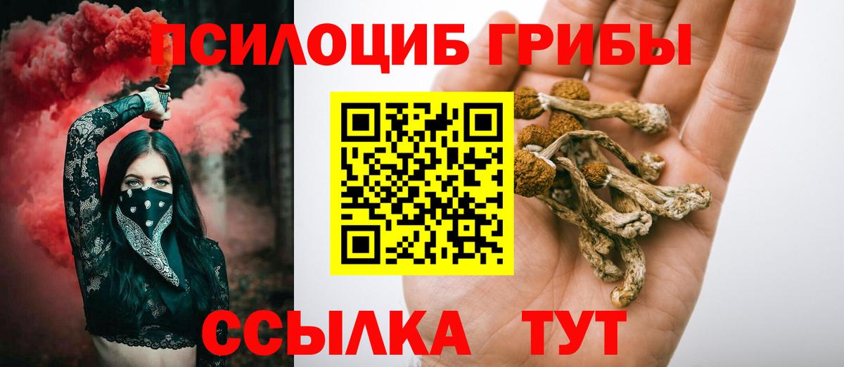 Галлюциногенные грибы ЛСД Камышлов