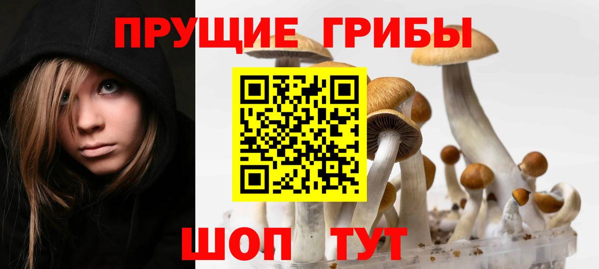 Псилоцибиновые грибы Cubensis  Псилоцибиновые грибы Psilocybine cubensis  Вход с VPN  Камышлов 