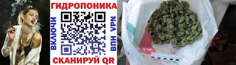 Бошки марихуана OG Kush  купить наркотик  Камышлов 