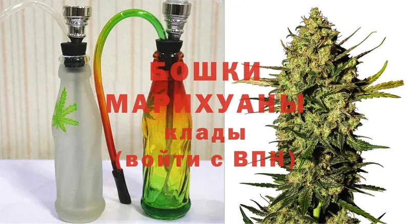 Конопля Bruce Banner  Камышлов 