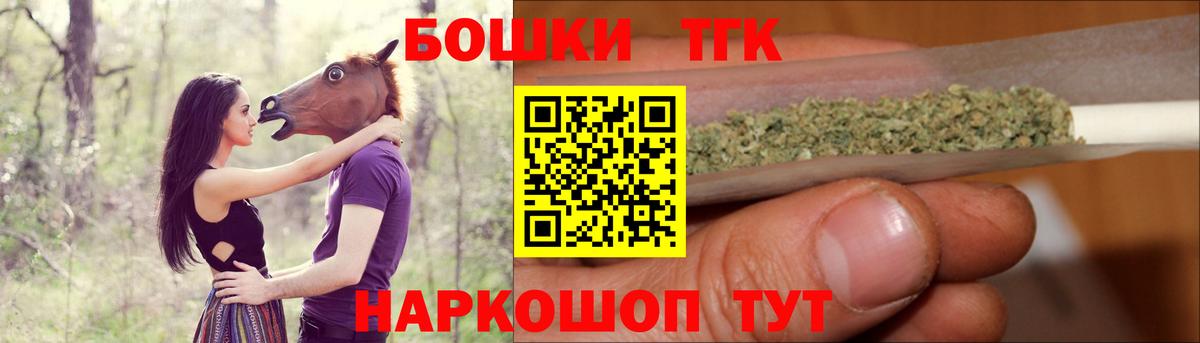 Бошки Шишки план Камышлов